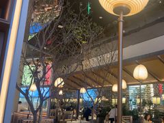 -桂满陇·海市蜃楼·黑金(国金店)