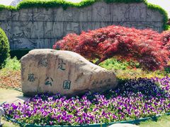 -嘉定紫藤园