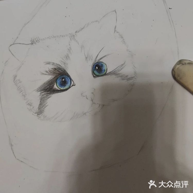 我的毛孩子[亲亲]