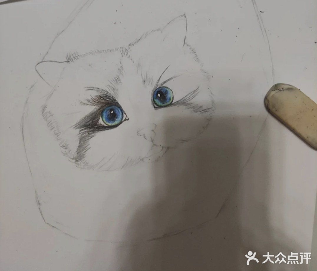 我的毛孩子[亲亲]