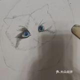 我的毛孩子[亲亲]