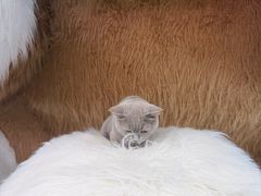 -天虹购物中心(深圳龙华店)