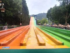 -重庆海昌加勒比海水世界