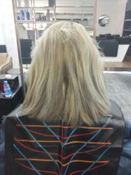 -MYCOLORHARSALON