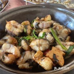发记东坡亭海鲜的啫啫白鳝好不好吃 用户评价口味怎么样 鹤山市美食啫啫白鳝实拍图片 大众点评