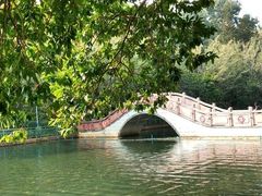-深圳龙潭公园