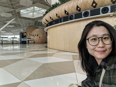 -盖达尔·阿利耶夫国际机场