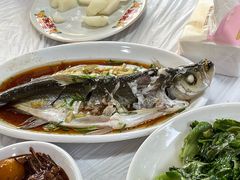 -小六农家乐(崇明西沙湿地店)