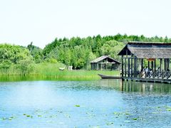 -溱湖国家湿地公园