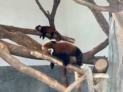-杭州野生动物世界