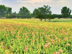 -汉长安城未央宫国家考古遗址公园