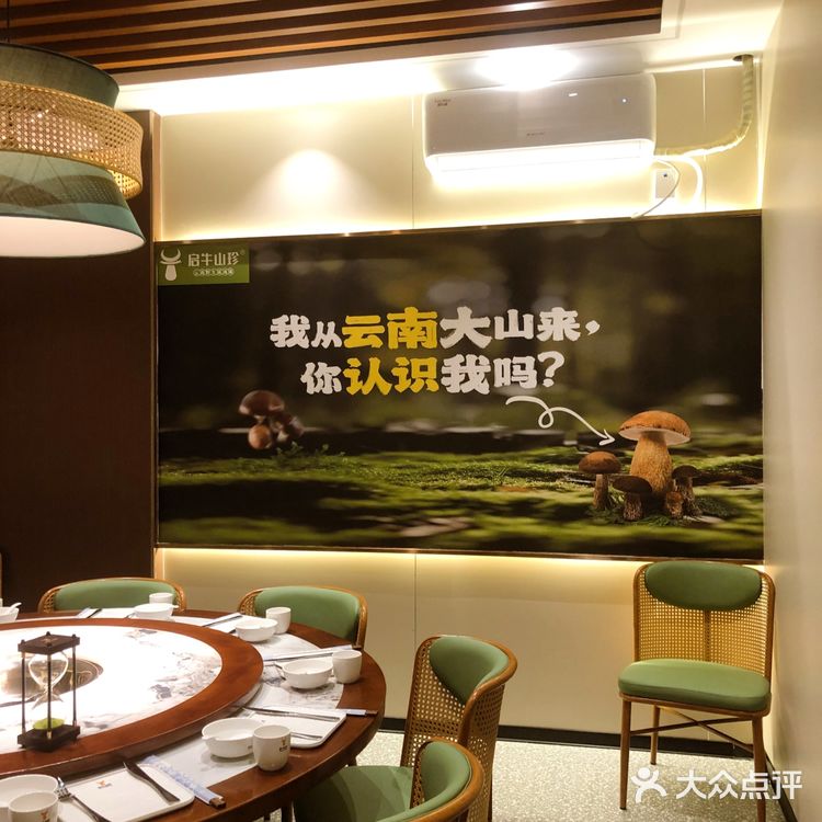 《去有风的地方》同款菌子宴，菌汤喝出颅内高潮