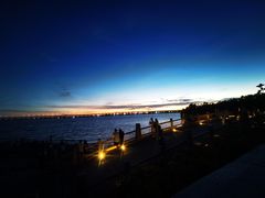 -宝安西湾红树林湿地公园