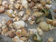 -东莞塘厦三正半山温泉酒店·沙利文西餐厅