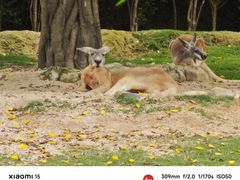 -泉州海丝野生动物世界