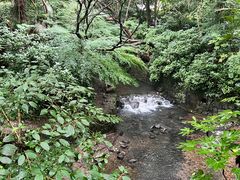 -灵顺寺