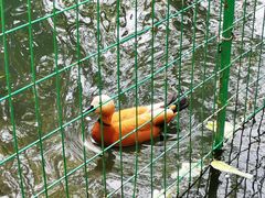 -长白岛森林公园