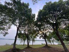 -漕湖湿地公园