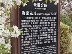 -海棠花溪(元大都城垣遗址公园)