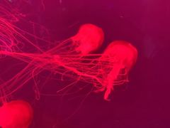 -多彩贵州城极地海洋世界