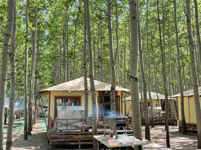 小憩杨林·露营基地-"入园门票没有明码标价,微信联系后说小平台.