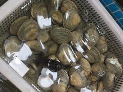 -明记海鲜大排档(巽寮湾店)