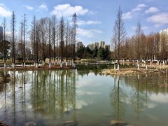 -白塘生态植物园