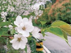 -树山生态村