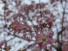 -风云岭森林公园