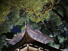 -龙井壹号·茶缘山景宴(龙井村店)