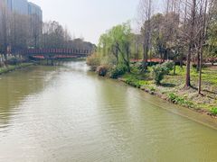 -南翔镇银翔湖公园