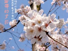 -龙美术馆(西岸馆)
