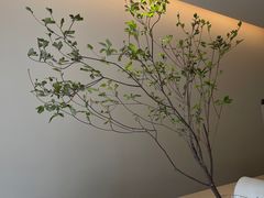 -Onirii Coffee(长乐路店)