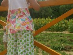 android_upload_pic-北京东方普罗旺斯薰衣草庄园