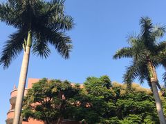 -广州市越秀区育才实验学校