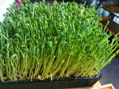 -煲宫猪肚鸡(晶品店)