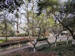 -北极阁公园