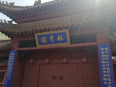 -桃花堤公园