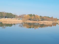 -贡湖湾湿地公园
