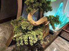 -陆琴脚艺·足浴·SPA(夫子庙店)