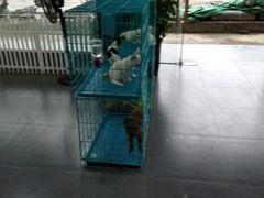 -佳百利宠物(荣乐中路115弄小区店)