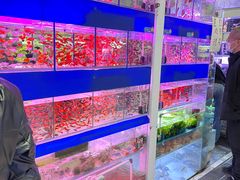 -三旗百汇商品城