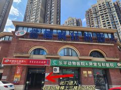 -睿趣疯狂机器人·乐高·编程·STEM(橡树湾中心)