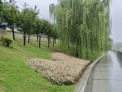 -七桥瓮公园