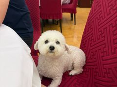 -金百门·顺德海鲜酒家(陈村店)