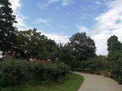 -秀丽东方