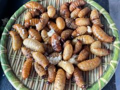 -竹泉农庄·竹筒饭(从化店)