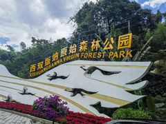 -西双版纳原始森林公园