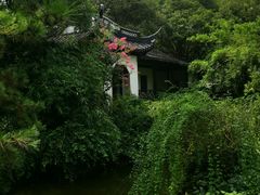 -秋霞圃