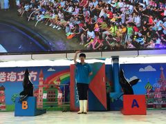 -成都浩海立方海洋公园